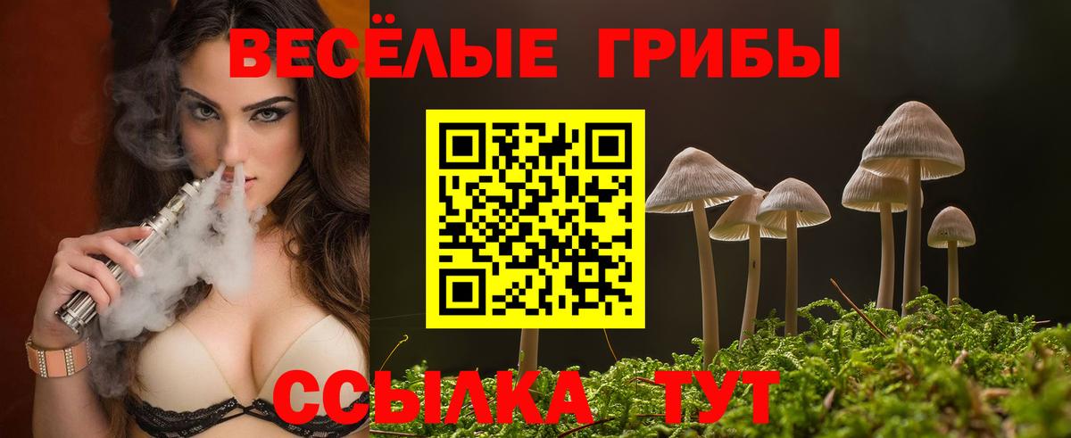 Псилоцибиновые грибы MAGIC MUSHROOMS Грозный