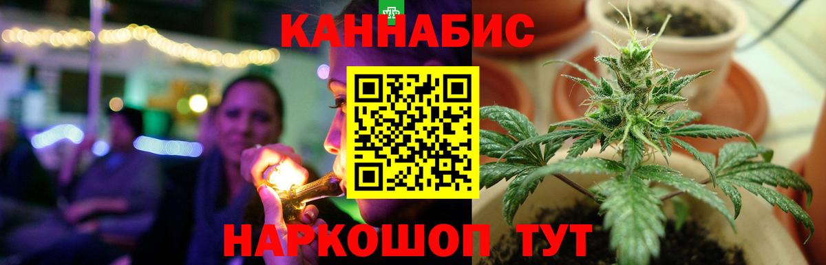 Бошки марихуана MAZAR Грозный